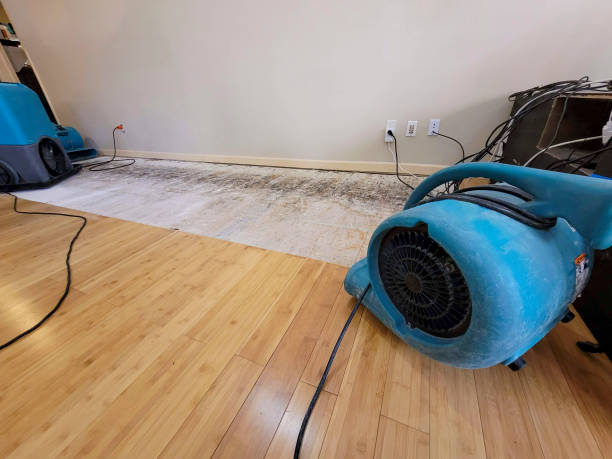 Professional Flood Damage Cleanup technician working in Benton City, WA